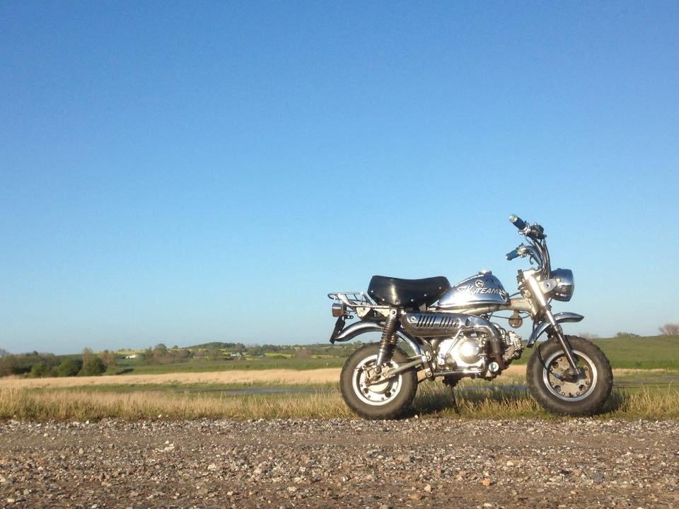 Skyteam Monkey billede 7