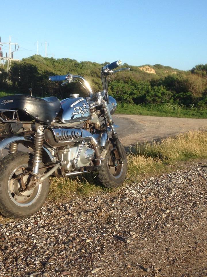 Skyteam Monkey billede 5