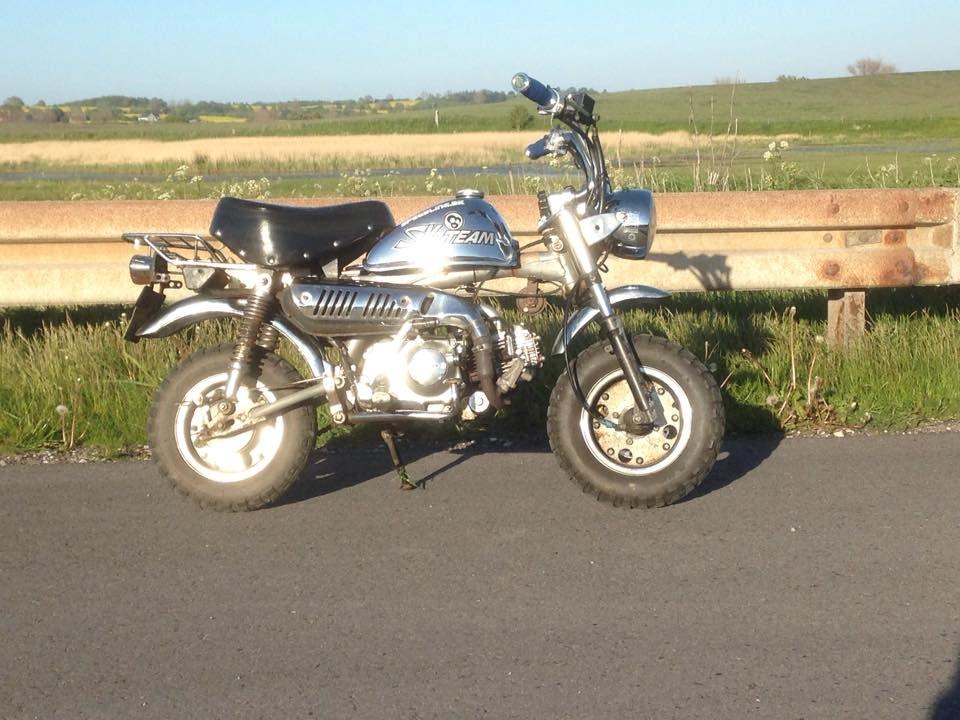 Skyteam Monkey billede 6