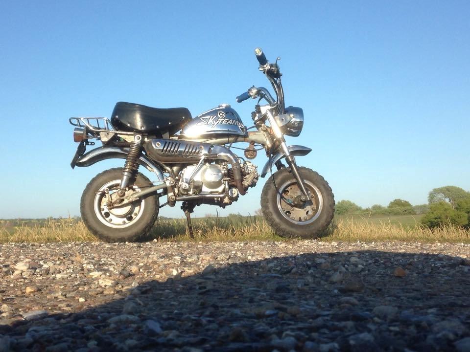 Skyteam Monkey billede 9