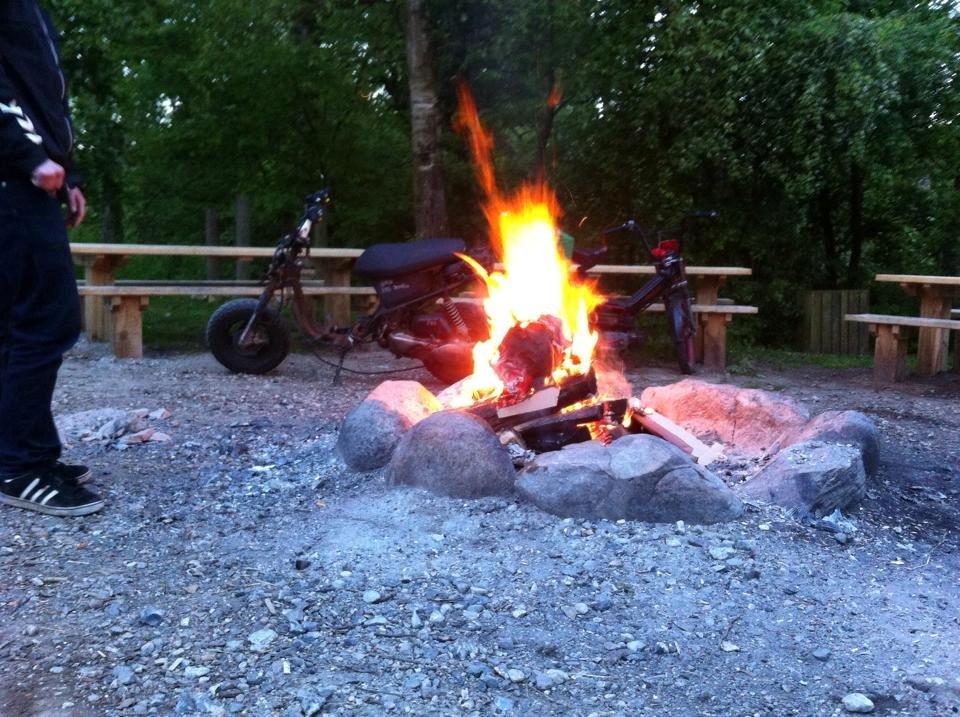 PGO Big Max billede 15