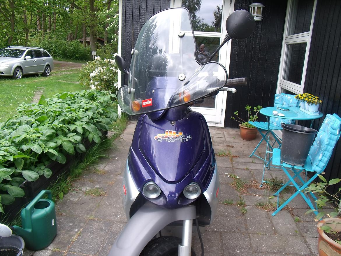 Aprilia Rally LC billede 3