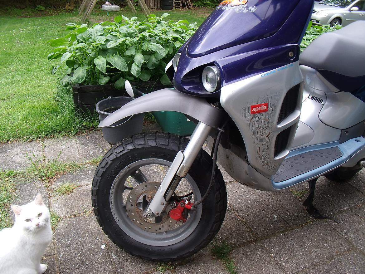 Aprilia Rally LC billede 6