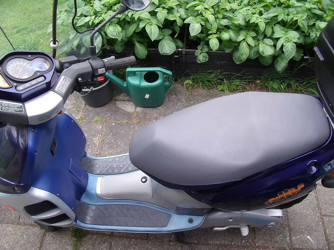 Aprilia Rally LC billede 10