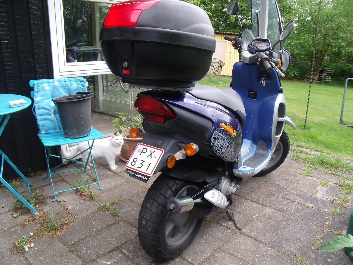 Aprilia Rally LC billede 17