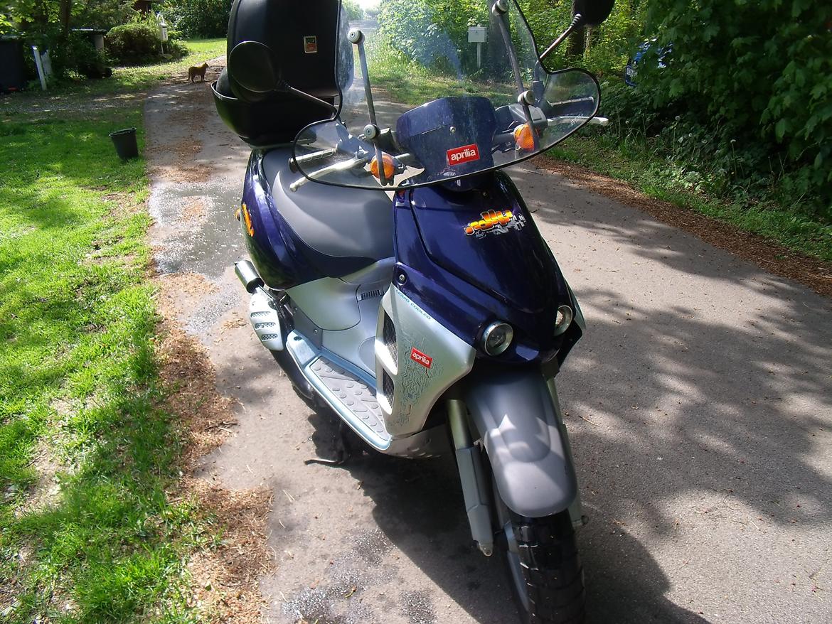 Aprilia Rally LC billede 16