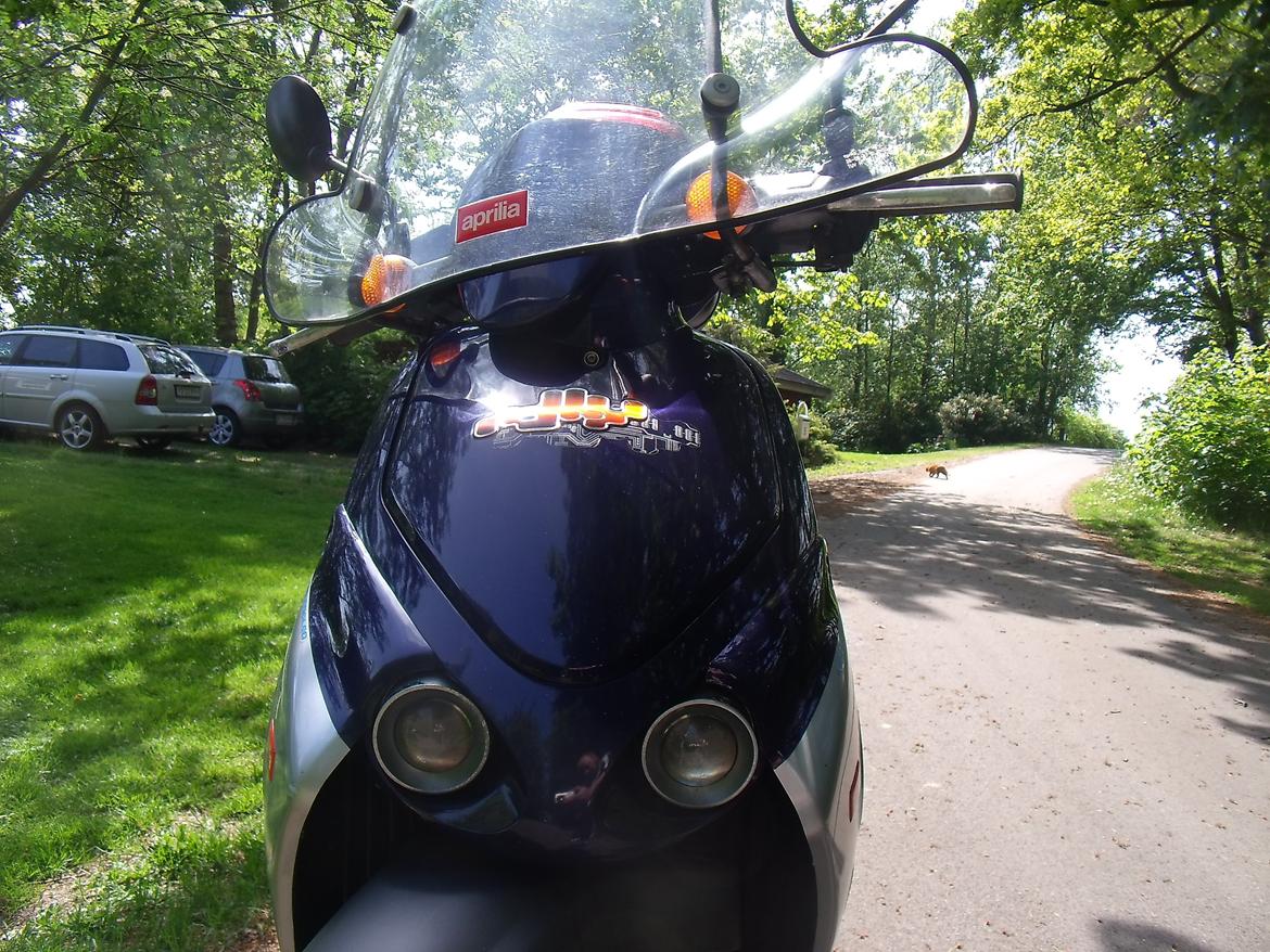 Aprilia Rally LC billede 23