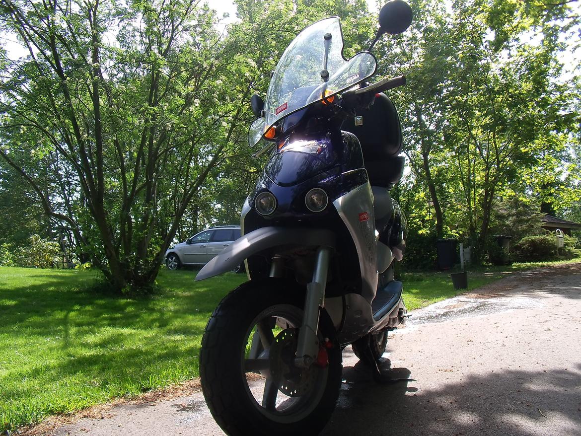 Aprilia Rally LC billede 21