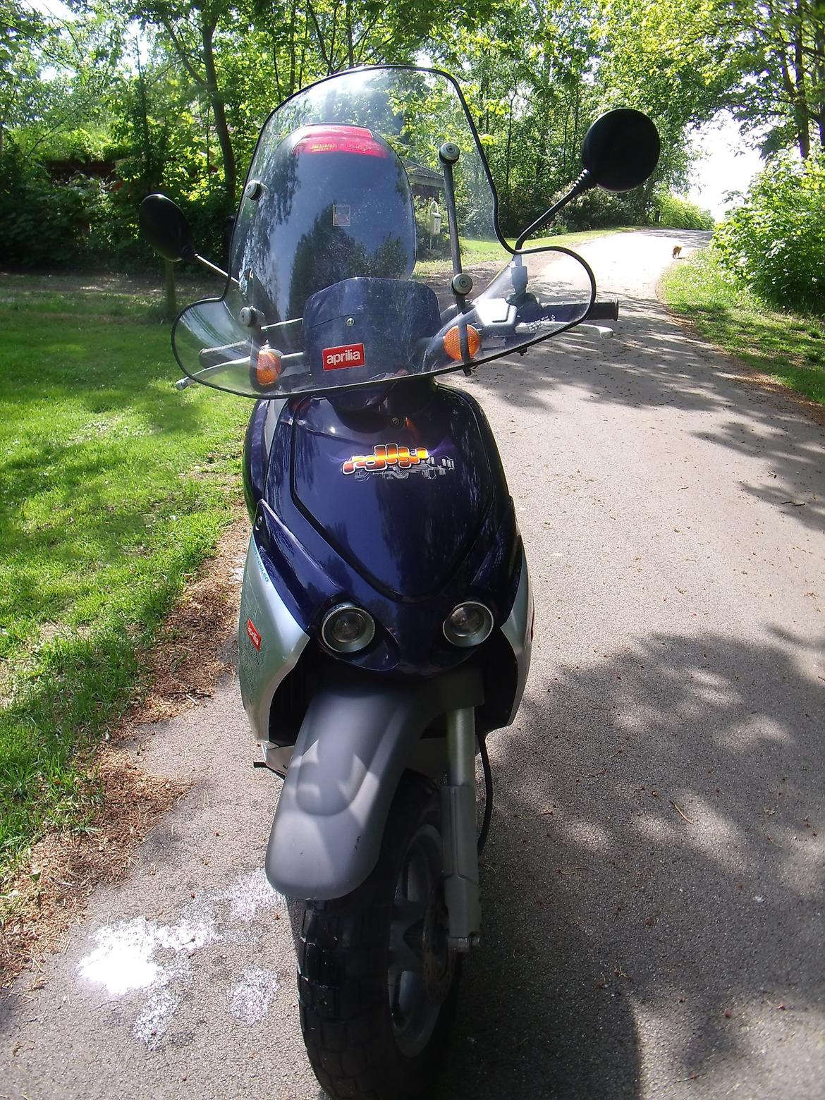 Aprilia Rally LC billede 29