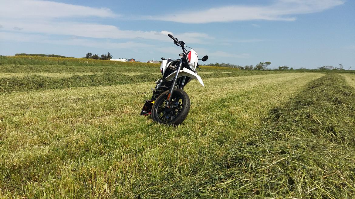 Derbi Senda DRD billede 18