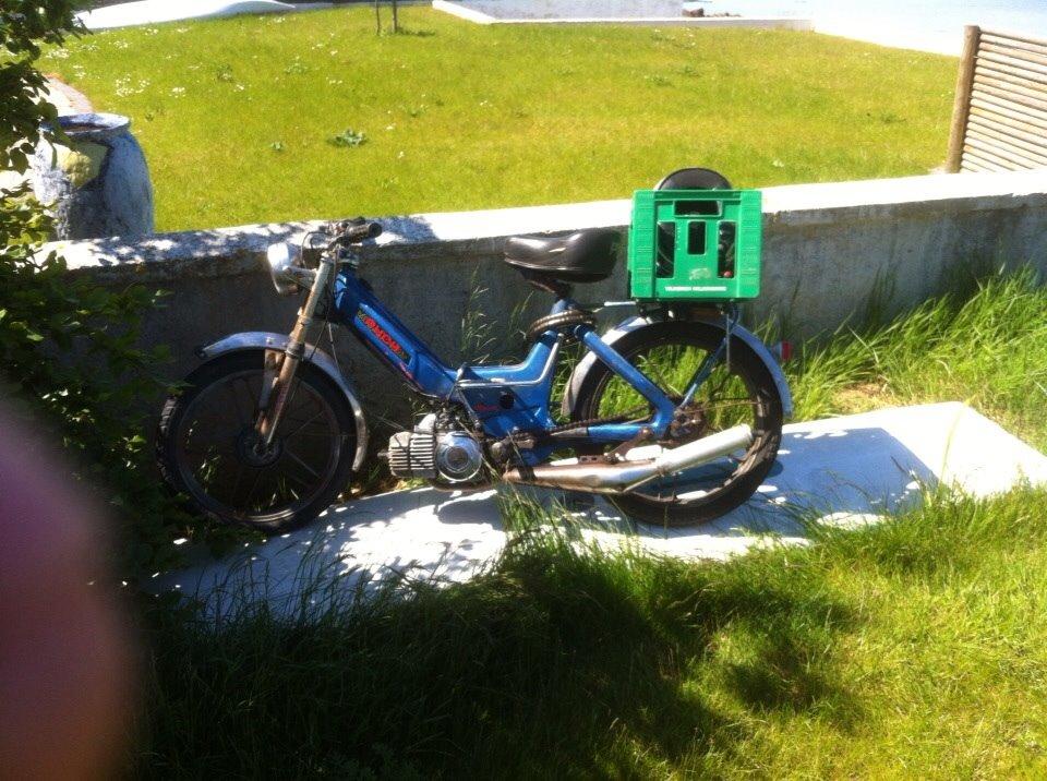 Puch Maxi (solgt)  billede 6