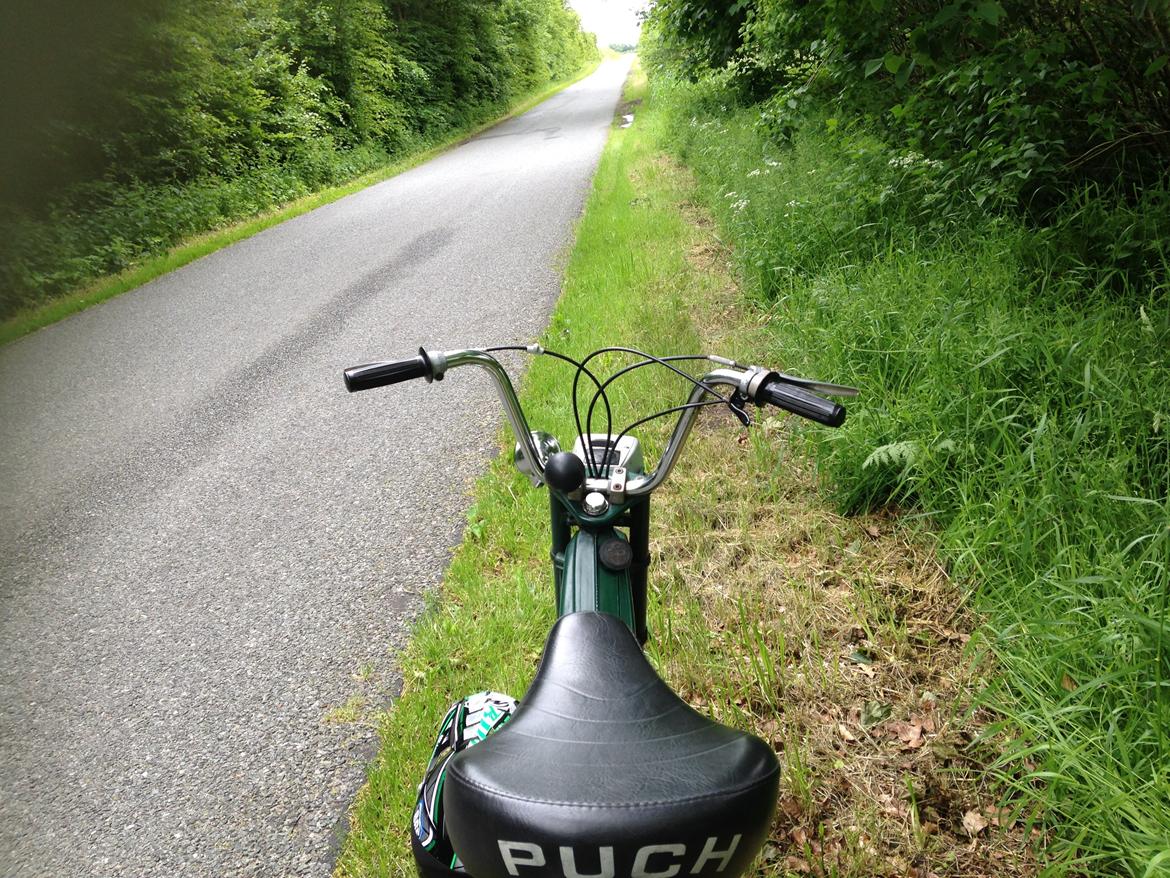 Puch Maxi K  billede 8
