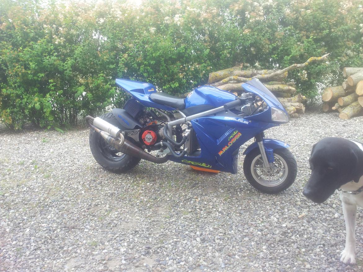 Gilera runner/poketbike billede 2