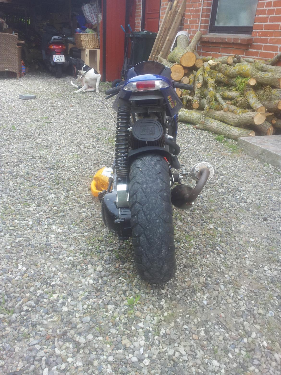 Gilera runner/poketbike billede 6