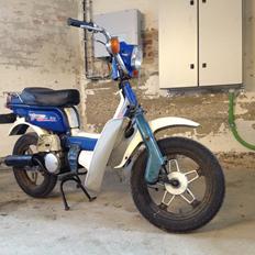 Suzuki Fz50