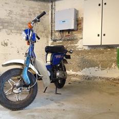 Suzuki Fz50