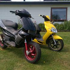 Gilera Runner LC DD Team 2012