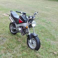 Skyteam Pbr 50 // SOLGT