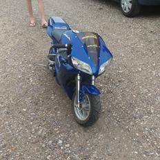 MiniBike x7 49cc