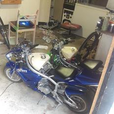 MiniBike x7 49cc