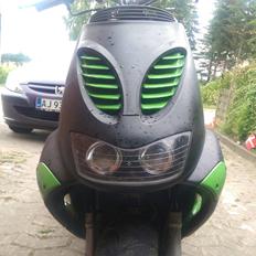 Aprilia Sr50 TheGreenDemon