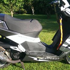 Peugeot speedfight 3