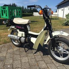Suzuki FZ50 Unik