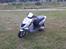 Aprilia Sonic