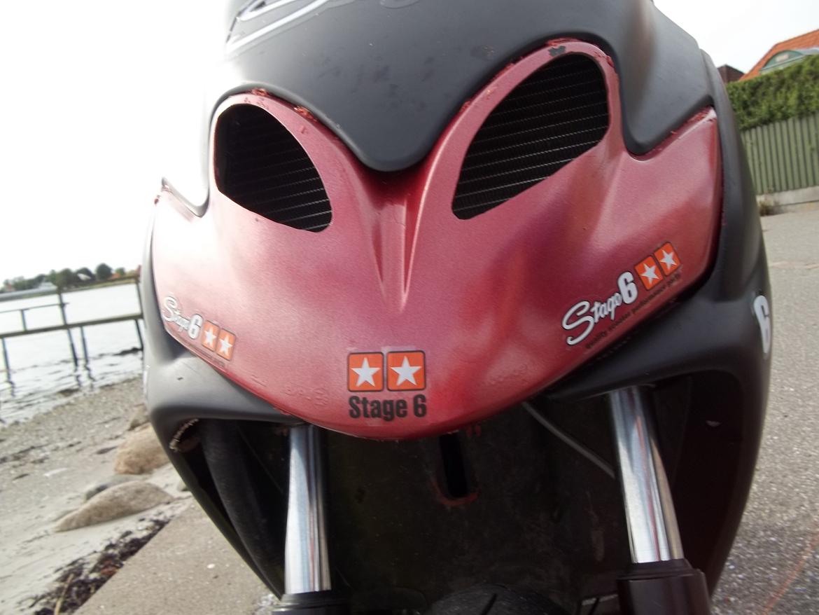 Yamaha Stage6 R/T BB DD JOG R billede 28