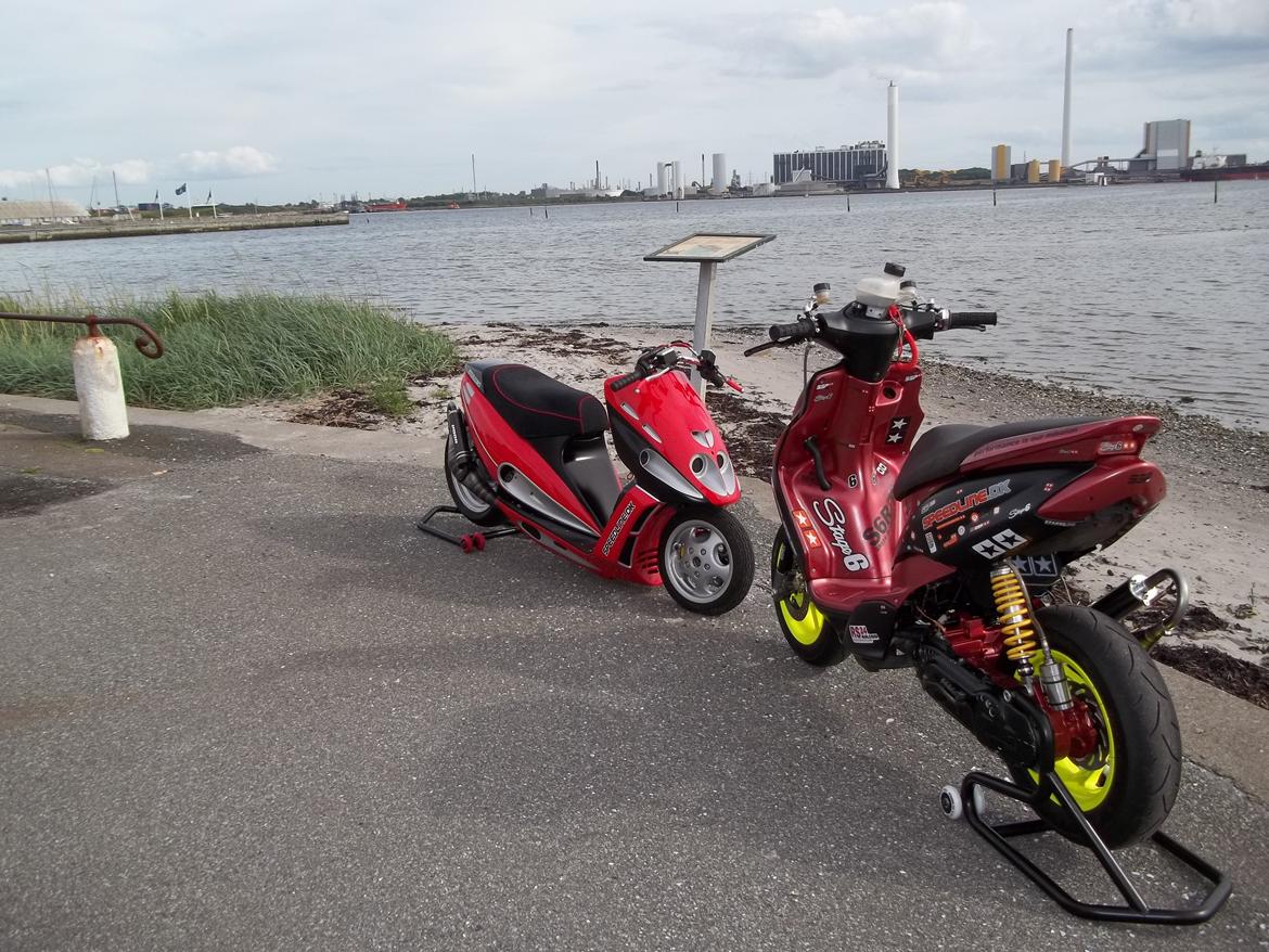 Yamaha Stage6 R/T BB DD JOG R billede 33