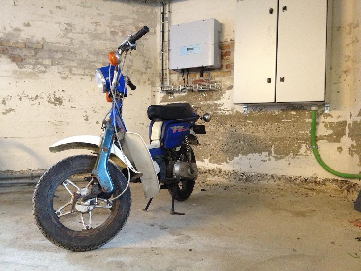 Suzuki Fz50 billede 2