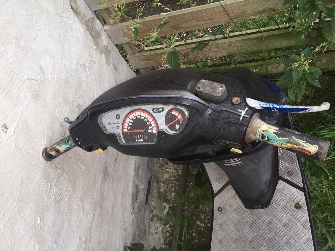 Honda SFX "Solgt" billede 5