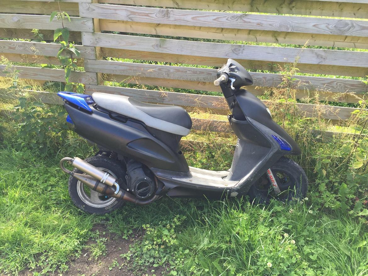 Honda SFX "Solgt" billede 2