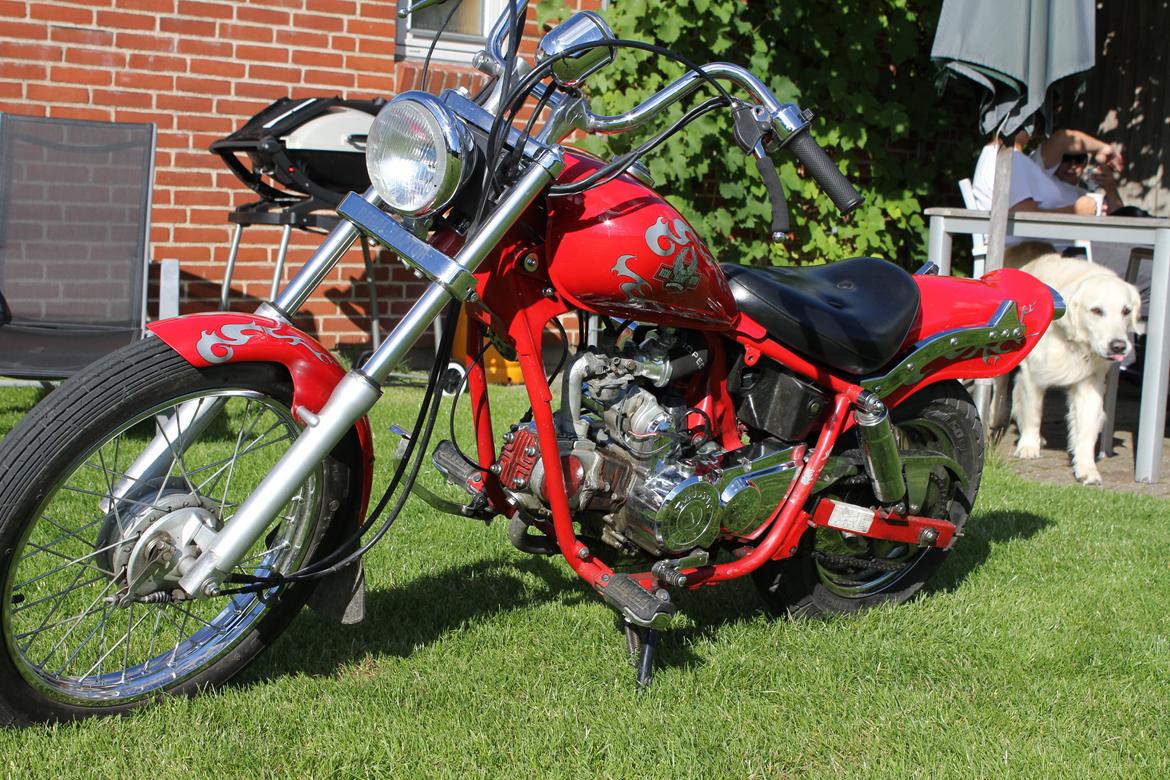 Regal Raptor ''One'' 125cc  billede 7