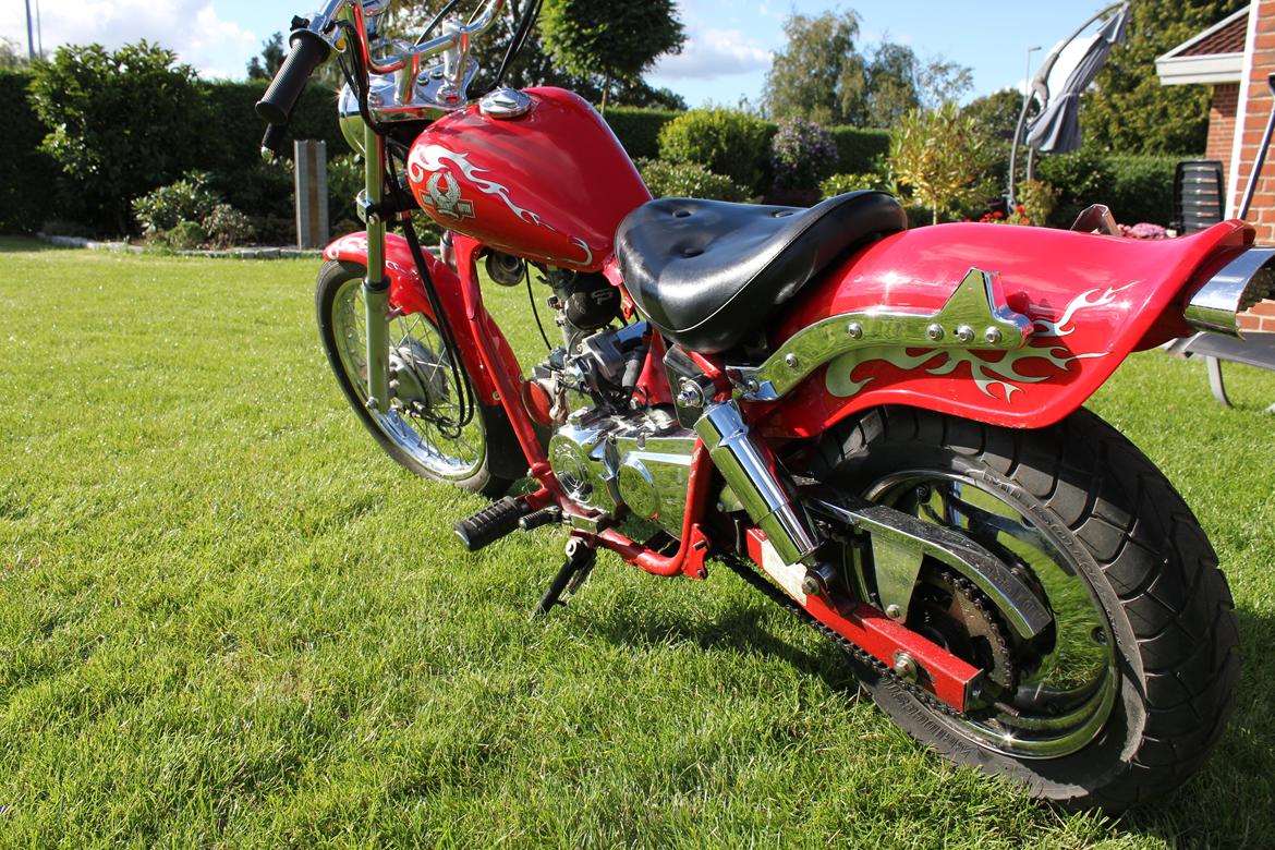 Regal Raptor ''One'' 125cc  billede 8