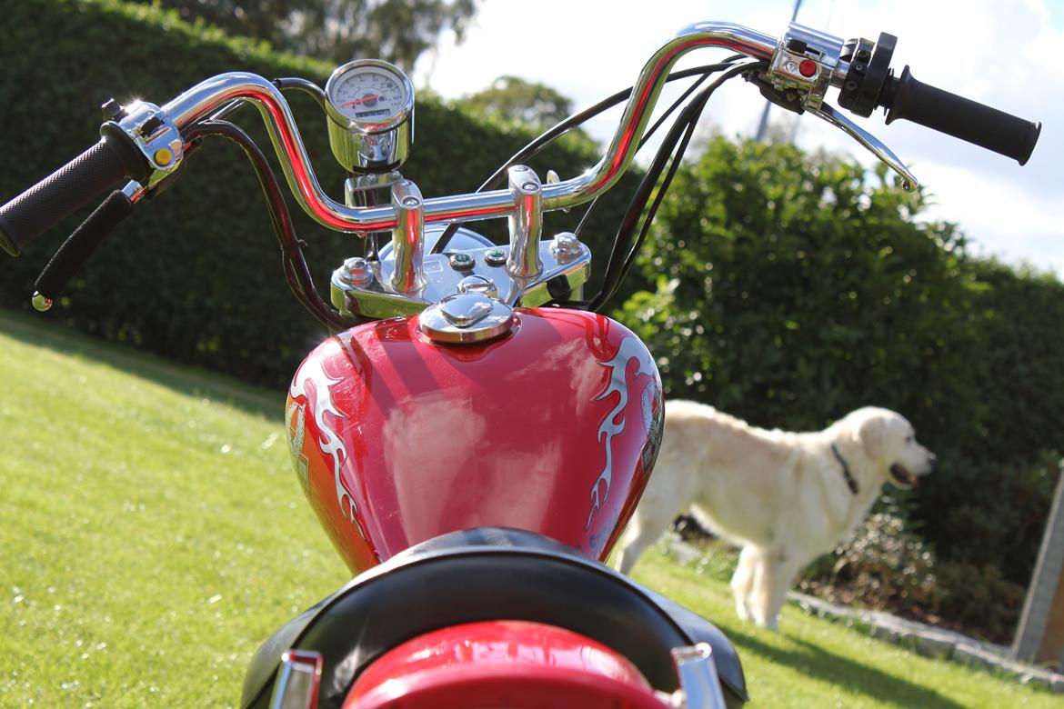 Regal Raptor ''One'' 125cc  billede 9