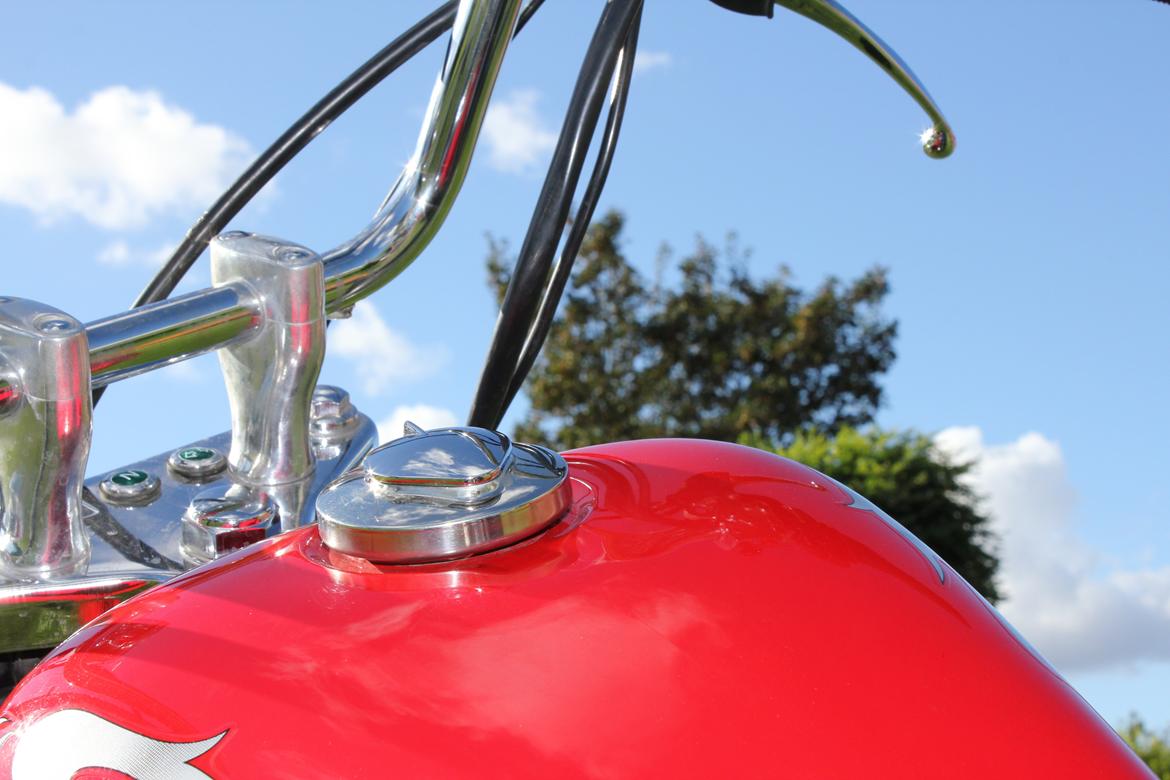 Regal Raptor ''One'' 125cc  billede 10