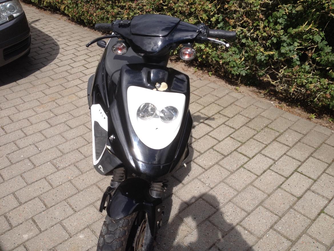 PGO Hot 50 billede 8