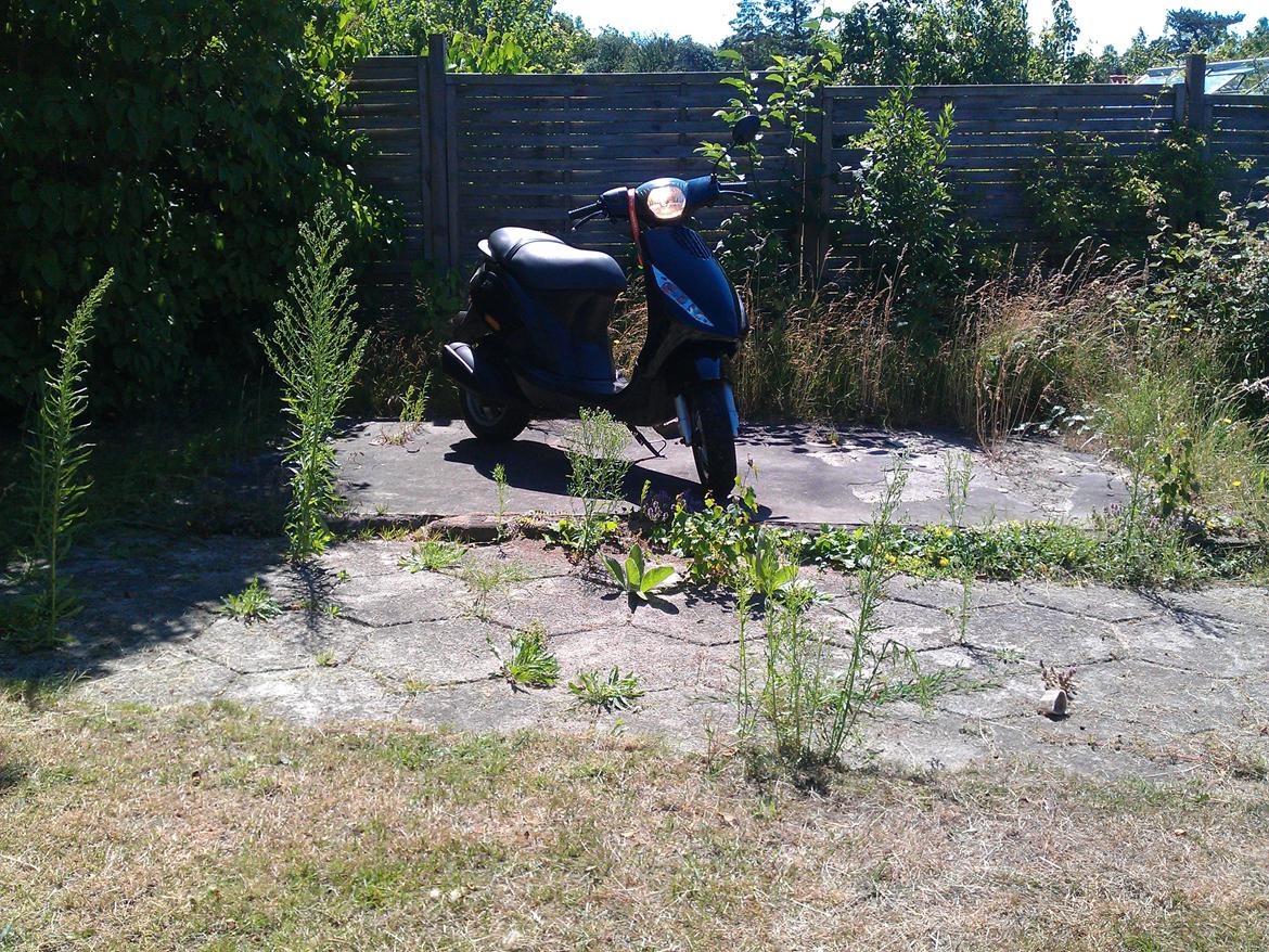 Piaggio New Zip/Skipper billede 11