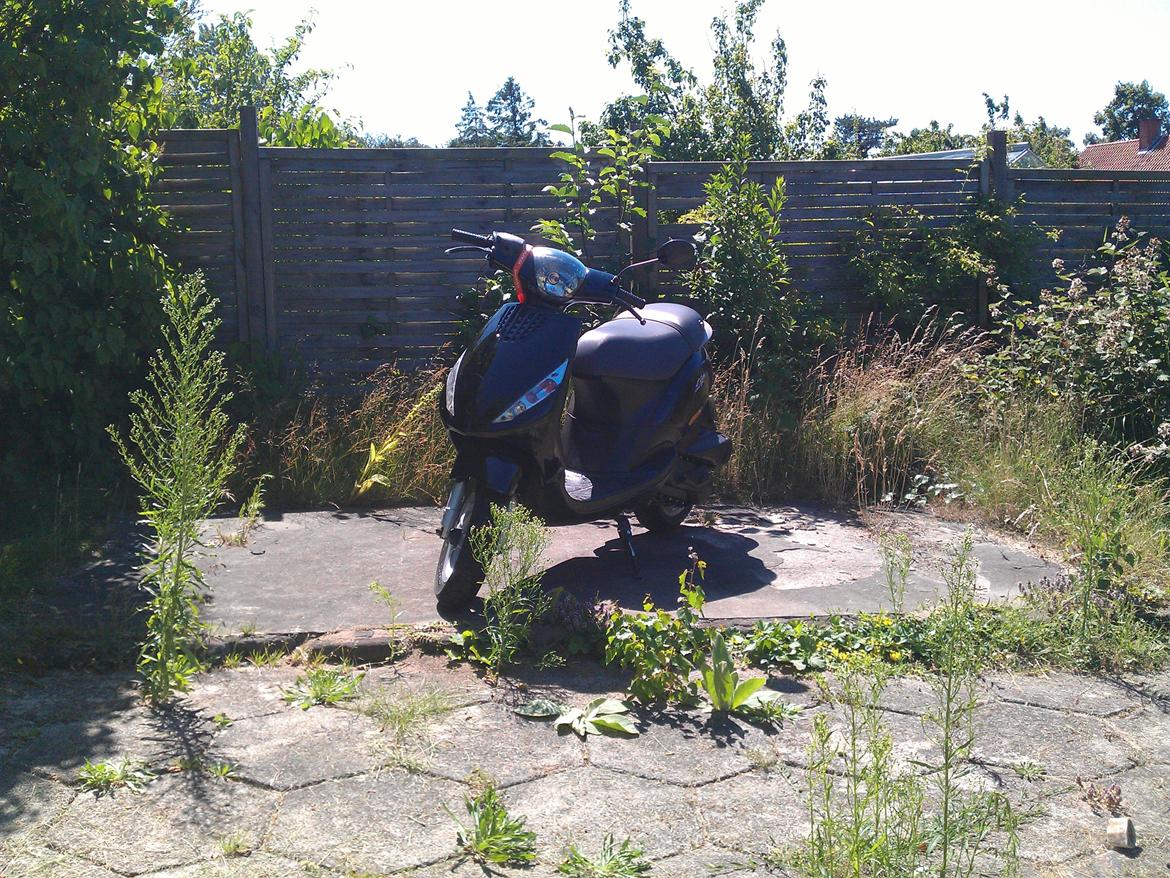 Piaggio New Zip/Skipper billede 12