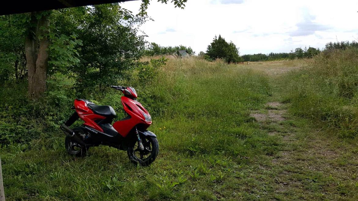 Yamaha Aerox LC - solgt - paint done billede 3