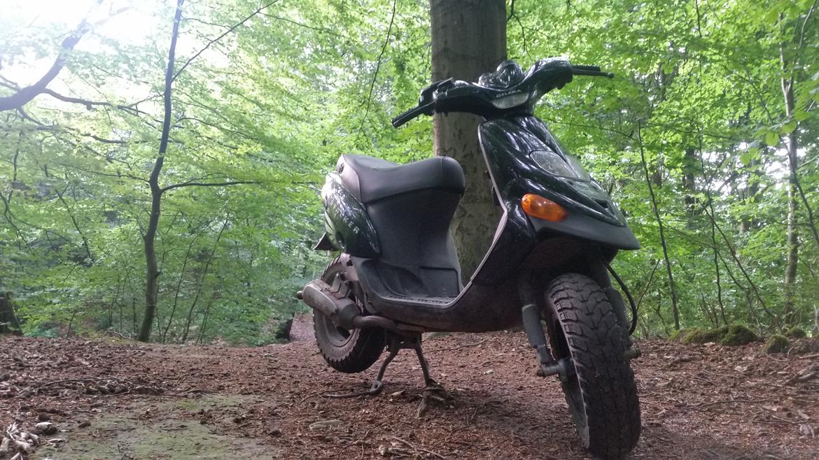 Gilera Stalker  - Før den ydre renovering  billede 8