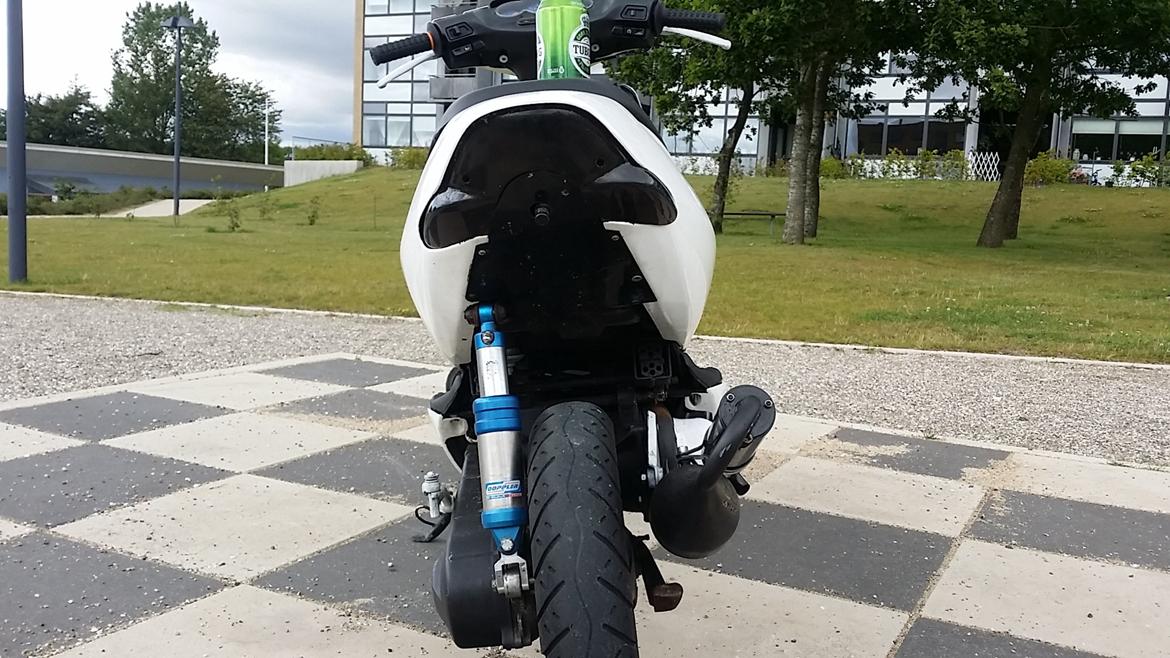 Aprilia Sonic billede 15