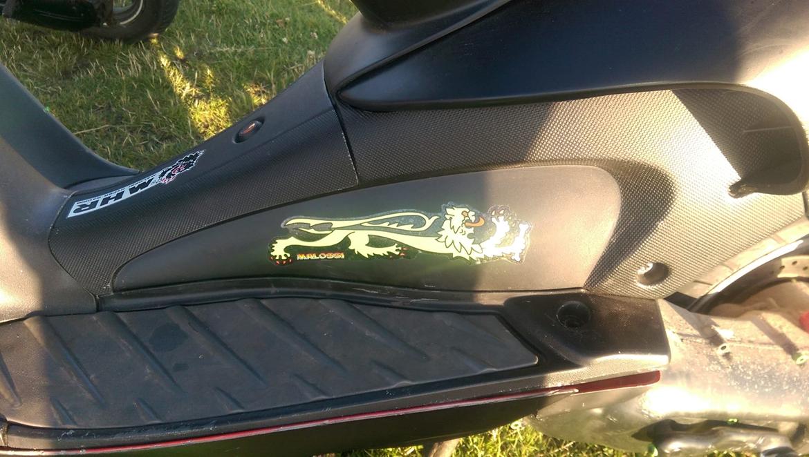 Aprilia Sr50 TheGreenDemon billede 9