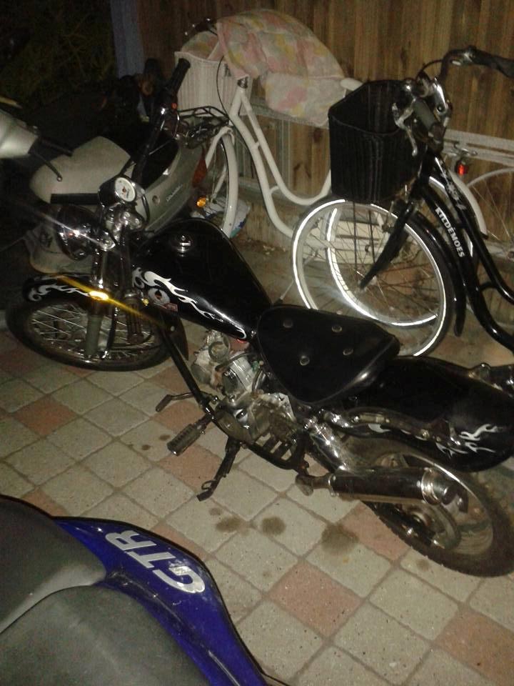 Regal Raptor billede 4