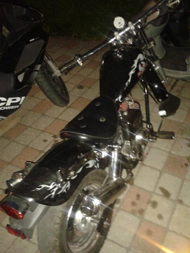 Regal Raptor billede 3