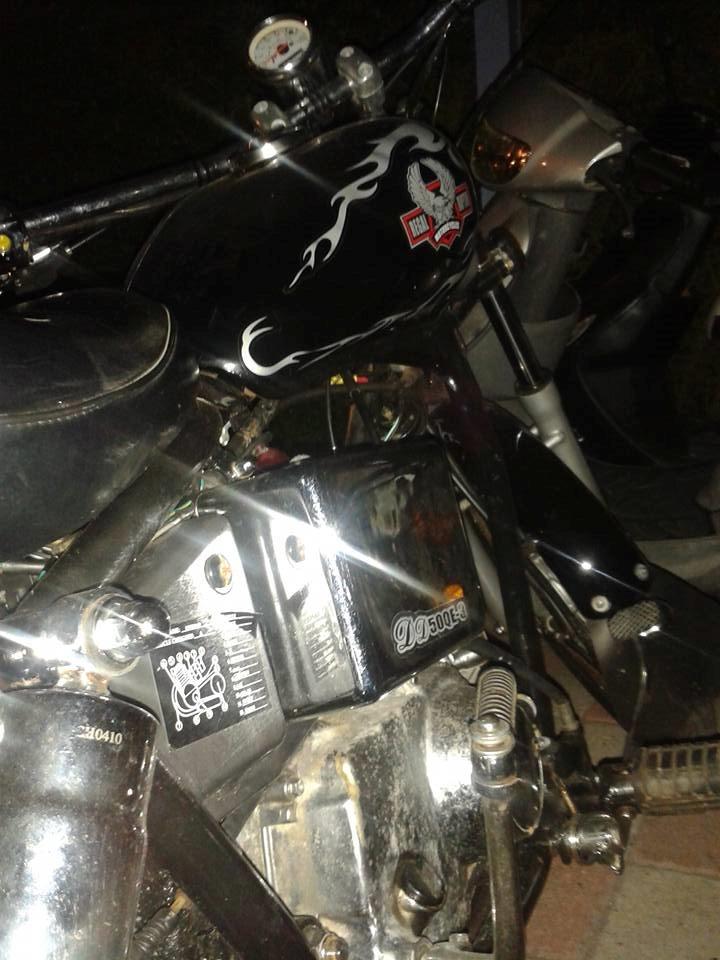 Regal Raptor billede 5