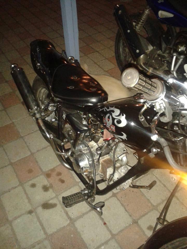 Regal Raptor billede 2