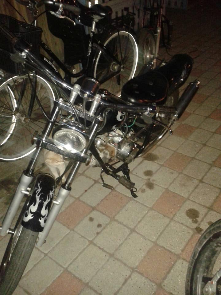 Regal Raptor billede 1