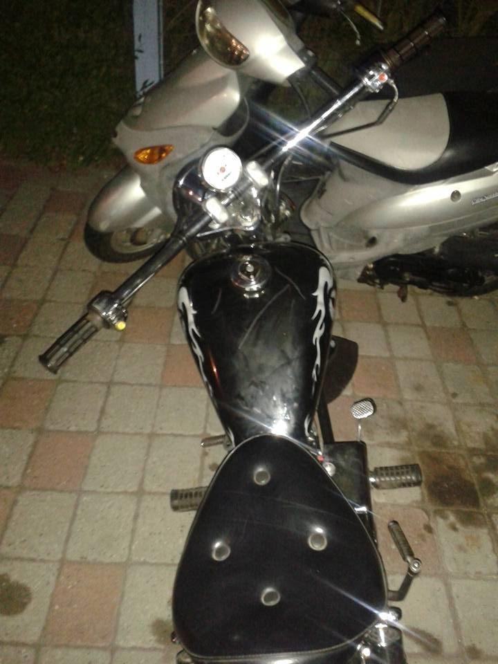 Regal Raptor billede 8